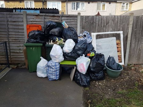 Team clearing garden debris efficiently